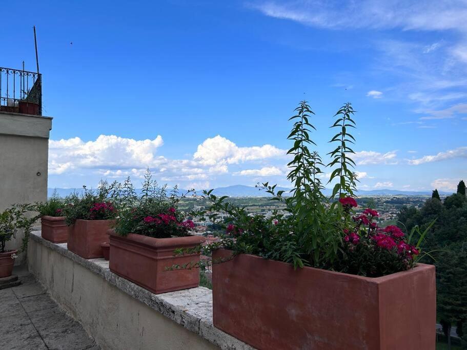 La Terrazza Di Ciro Pinsuti Lägenhet Sinalunga Exteriör bild
